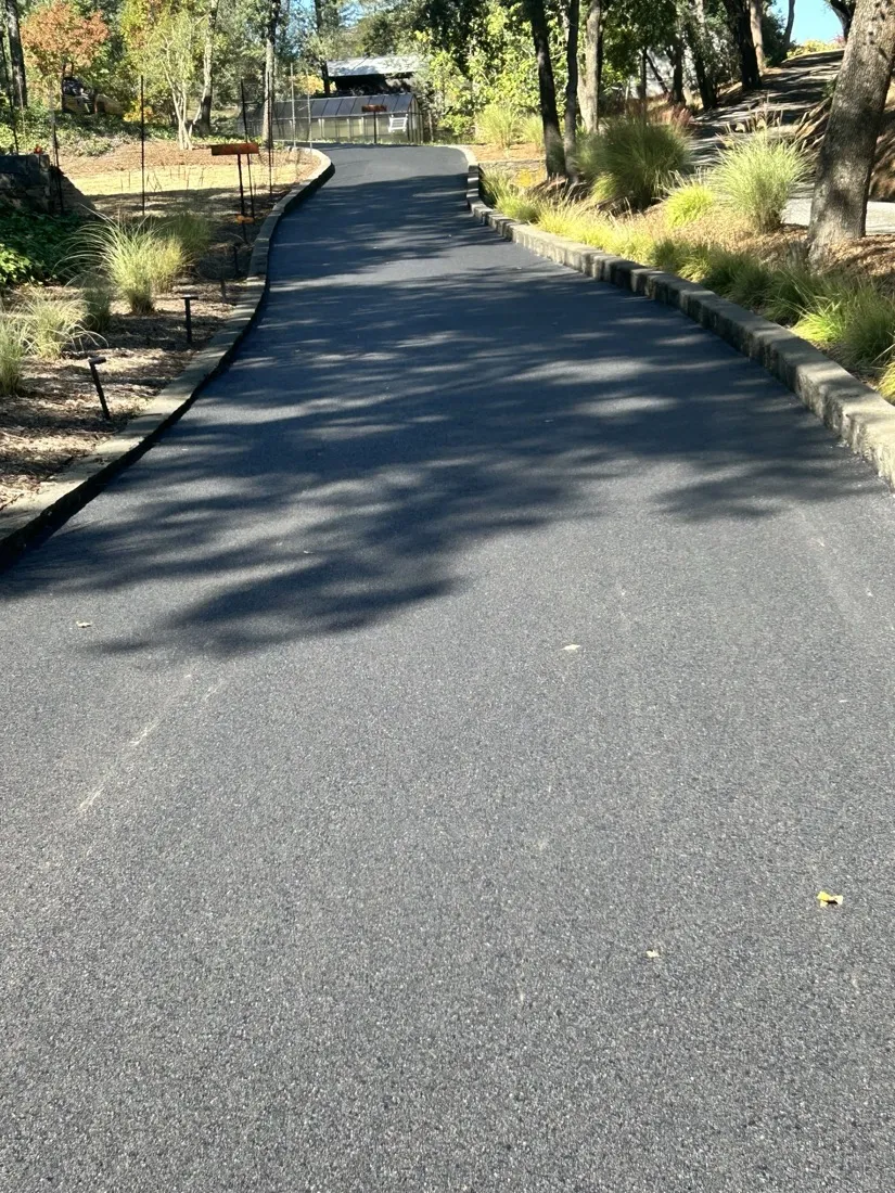 Driveway bordered with concrete block curbing and planting
